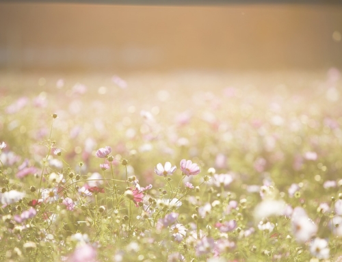 How to reduce odours in landfills